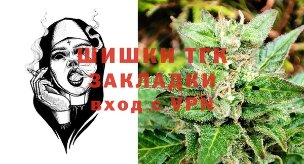 ешки Иннополис