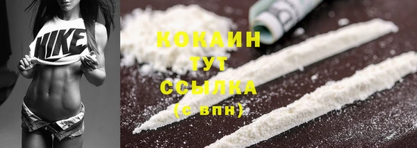 амф Зеленокумск